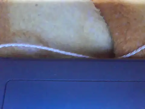 Stubborndesiboy webcam