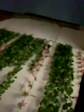 Im_scarlett18 webcam