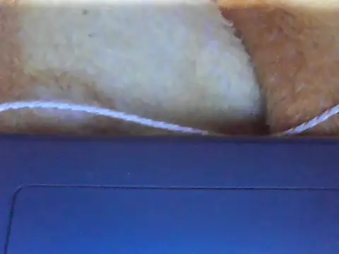 Stubborndesiboy webcam