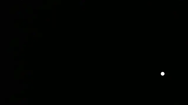 Theylor_Rouse webcam