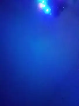 Preview of emy_ross_