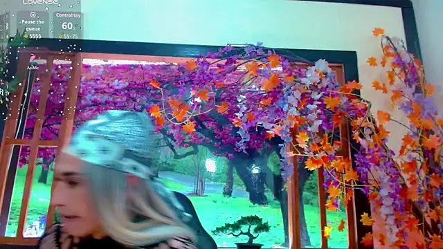 britanny_noroeste webcam