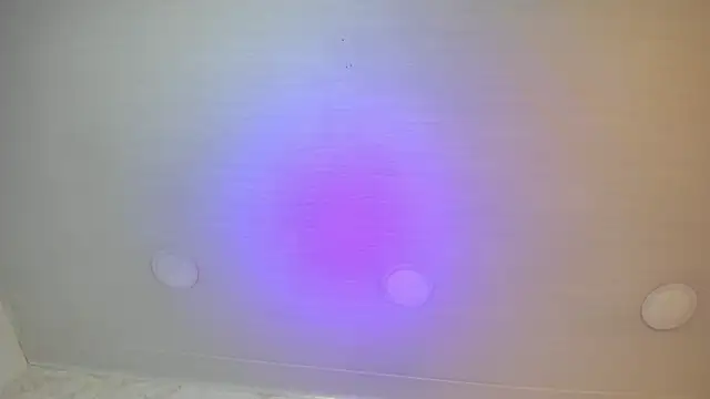 Sophie_teller webcam