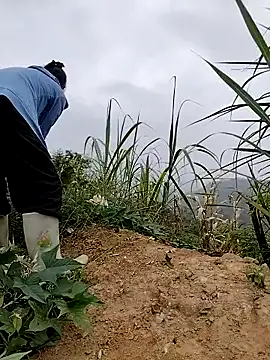 tin_tanny - Tin_tanny's free webcam - UK Sex Cams