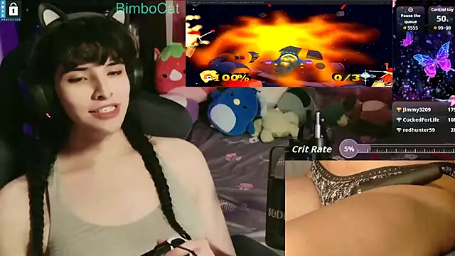BimboCat webcam