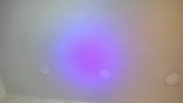 Sophie_teller webcam