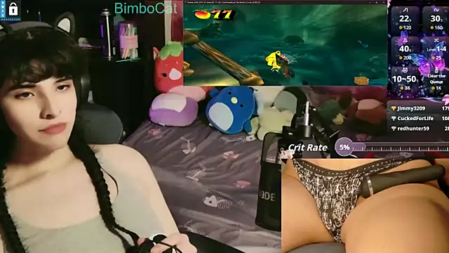 BimboCat webcam