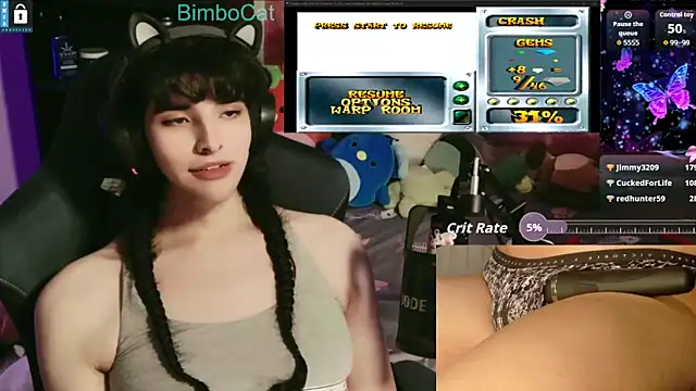 BimboCat webcam