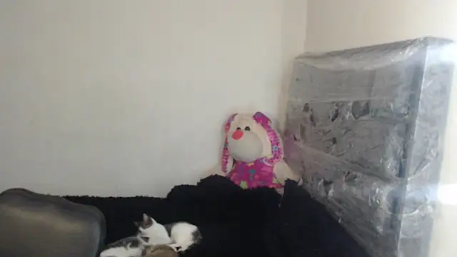 skinny_sweet2411 webcam