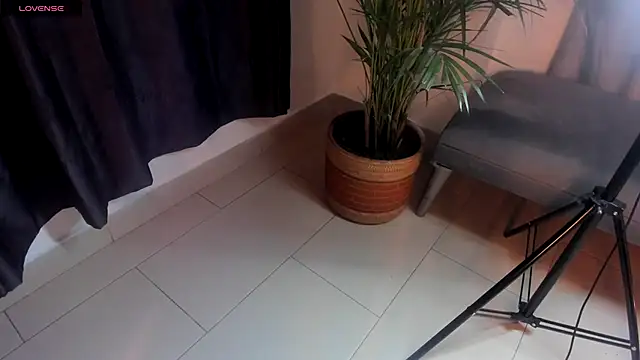 OurPerfectMix webcam