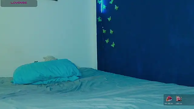 arnold_laurent_ webcam