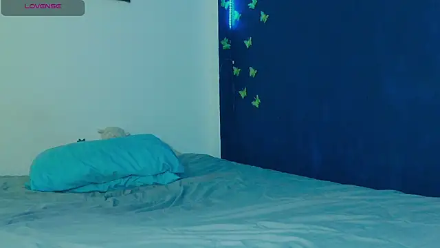 arnold_laurent_ webcam