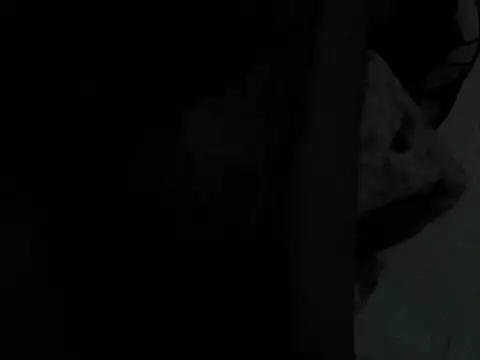 GordoChancludoSLP webcam