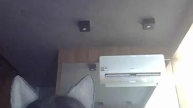 SkinnyKitten webcam
