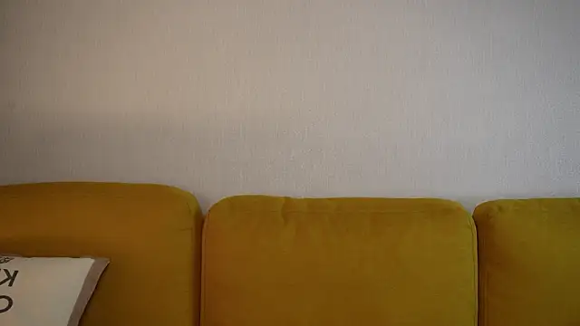 FirstOfFallen webcam