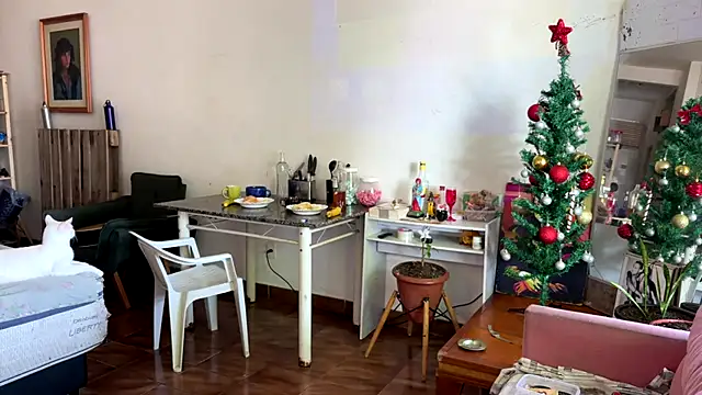 gerson173Hugo webcam