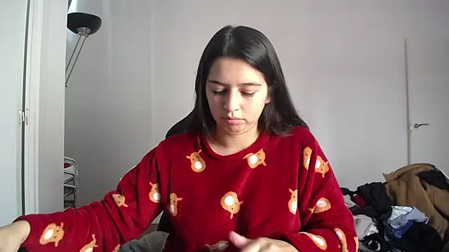 Contantin_helena webcam