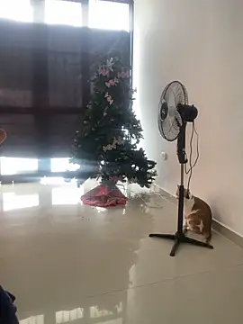 __Emma__11__Lecat_ webcam