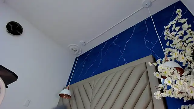 Ibbie_drastic webcam