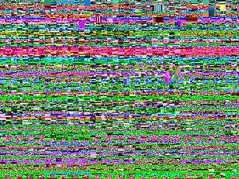 Dimitridonovitch webcam