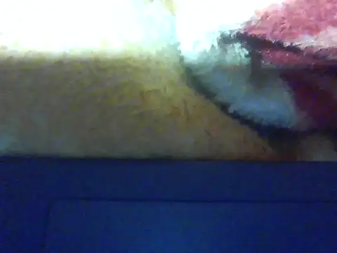 Stubborndesiboy webcam