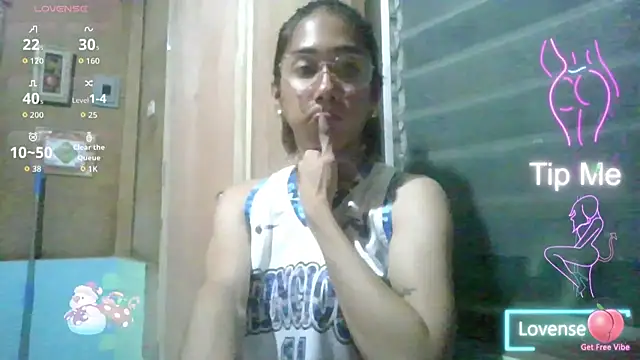 Krishellemoorree webcam