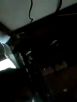 amanWildstalion webcam