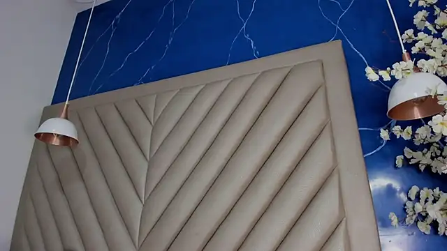 Ibbie_drastic webcam