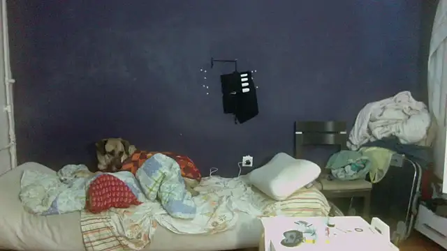 turkishTransEfsun webcam