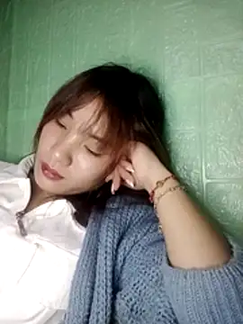 Linksys_nicee webcam