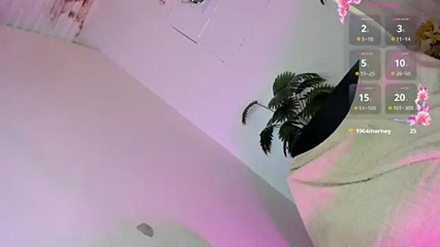 Transuncutjelay webcam