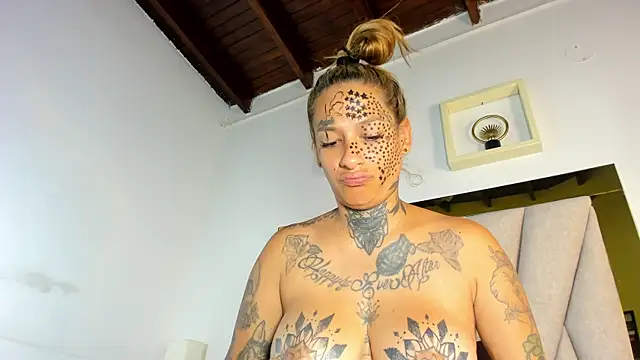 dakota_stream webcam