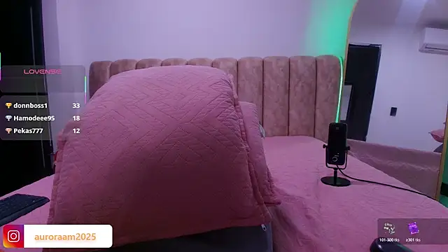 Auroraa_miller webcam