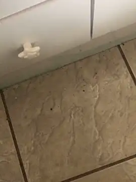 jonathaslemes18 webcam