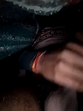 ShowedWringer webcam