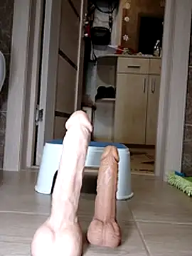 N_i_k_o_l_a_u webcam