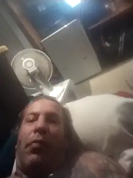 AceticPinscher webcam