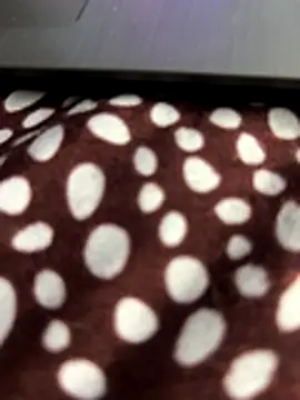 thedickboy17 - THEDICKBOY17's free webcam - UK Sex Cams