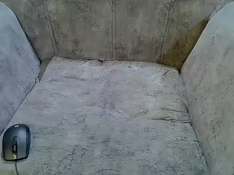 pradapussycat webcam