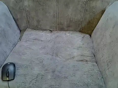 pradapussycat webcam