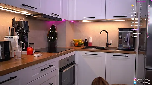 anitaraj_ webcam