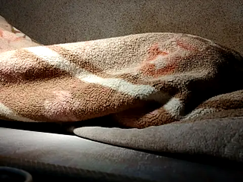 seductivescamp webcam