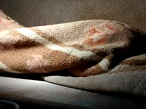 seductivescamp webcam