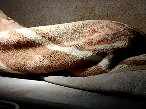 seductivescamp webcam