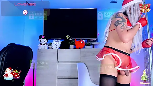 Palmer-Foster webcam