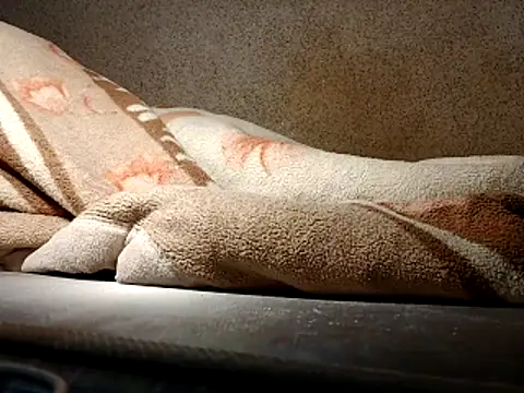 seductivescamp webcam