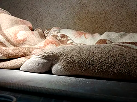 seductivescamp webcam