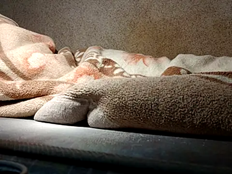 seductivescamp webcam