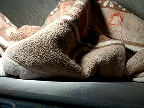 seductivescamp webcam