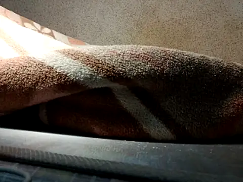 seductivescamp webcam